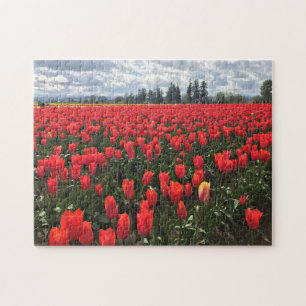 Puzzle Campo de Ballerina Tulips, Oregón