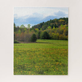 Puzzle Campo de flores
