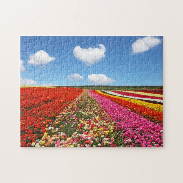 Puzzle Campo de Flores (Horizontal)