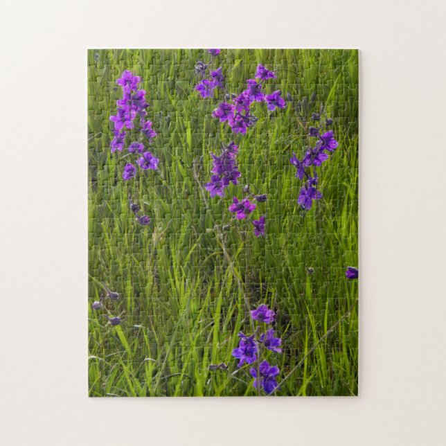 Puzzle Campo de Flores de Larkspur Púrpura (Vertical)