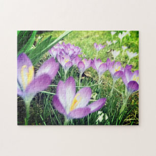 Puzzle Campo de flores moradas Crocus fllower Lilac