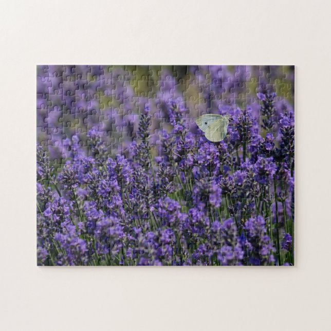 Puzzle Campo de flores moradas de lavanda con mariposa (Horizontal)