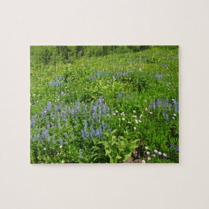 Puzzle Campo de flores silvestres en el Monte Rainier