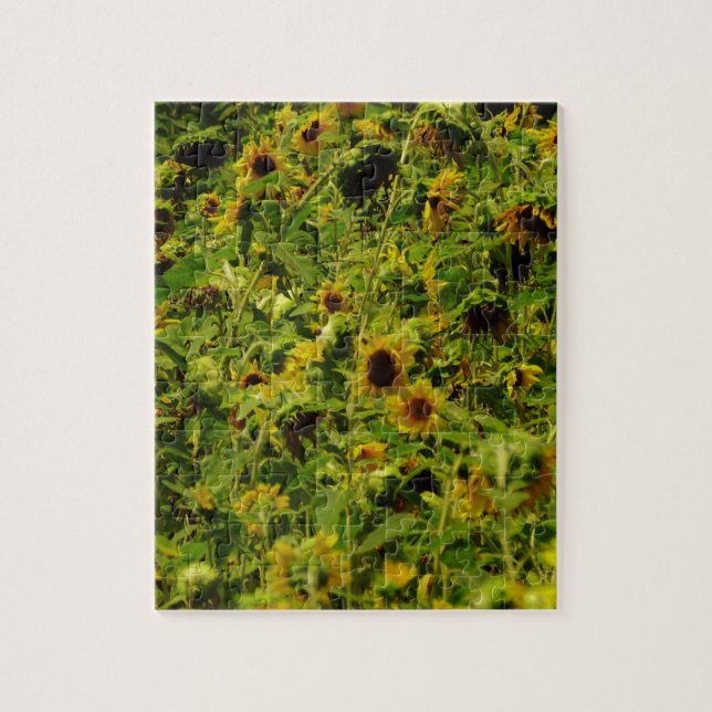Puzzle Campo de girasol (Vertical)