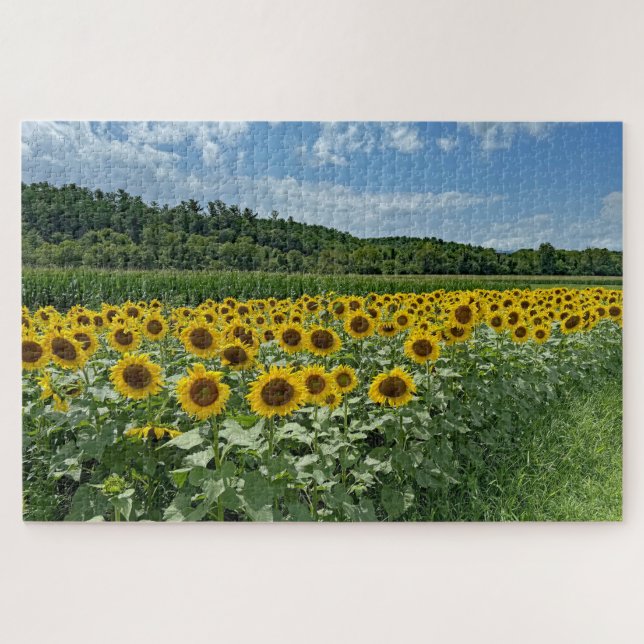 Puzzle Campo de girasol (Horizontal)