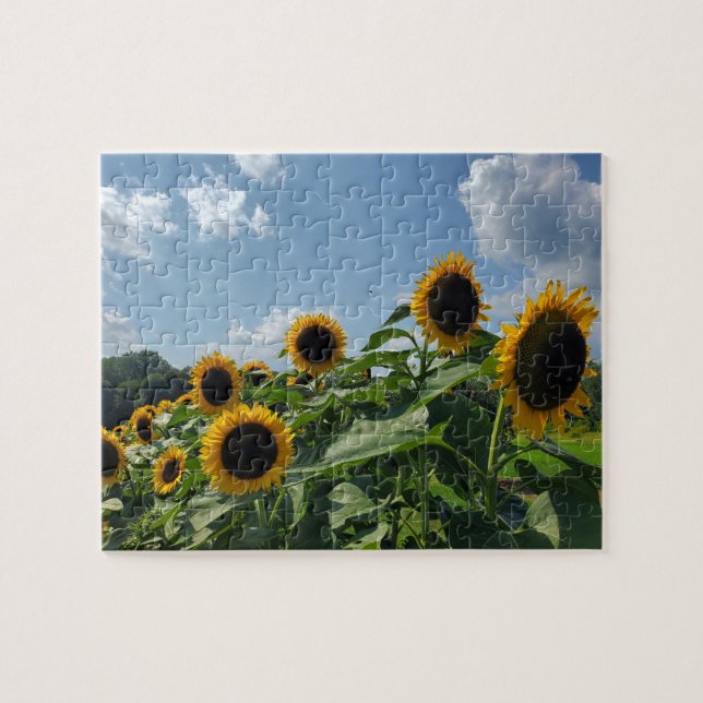 Puzzle Campo de girasol (Horizontal)
