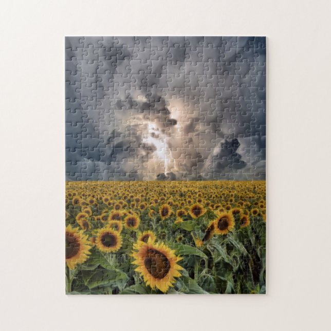 Puzzle Campo De Girasol En Tormenta (Vertical)