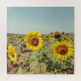 Puzzle Campo de girasol vintage