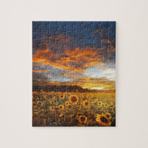 Puzzle Campo de girasoles de sol