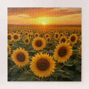 Puzzle Campo de Girasoles Dorados al Atardecer