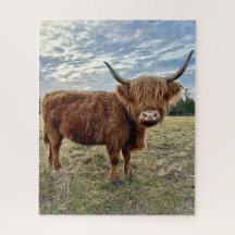 Campo de granja de vacas en altiplano escocés