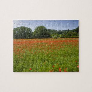Puzzle Campo de la amapola, Chiusi, Italia