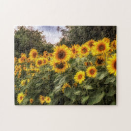 Puzzle Campo de las girasoles, fotografía
