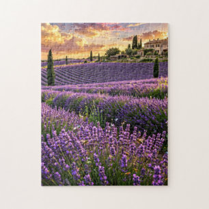 Puzzle Campo de lavanda al atardecer