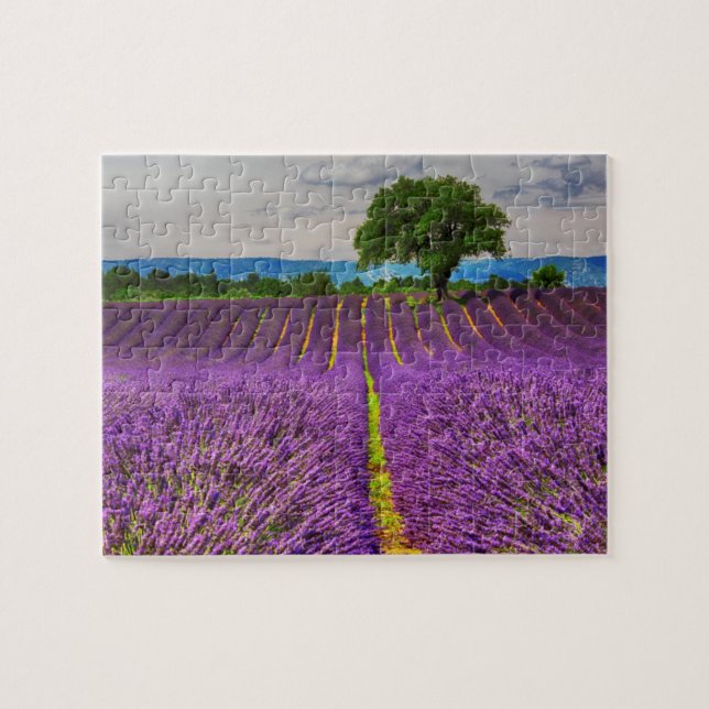Puzzle Campo de lavanda escénico, Francia (Horizontal)