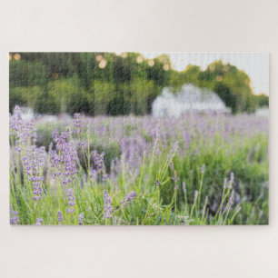 Puzzle Campo de lavanda tranquila