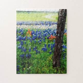 Puzzle Campo de Tejas