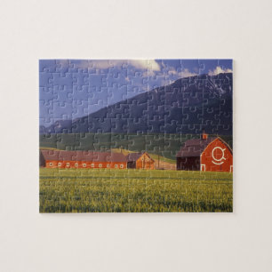 Puzzle Campo de trigo en el valle de Wallowa, justo afuer