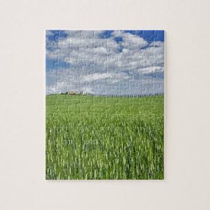 Puzzle Campo de trigo y camino bordeado por cipreses maje