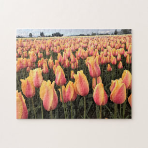 Puzzle Campo de tulipanes amarillos y rosados, Oregón