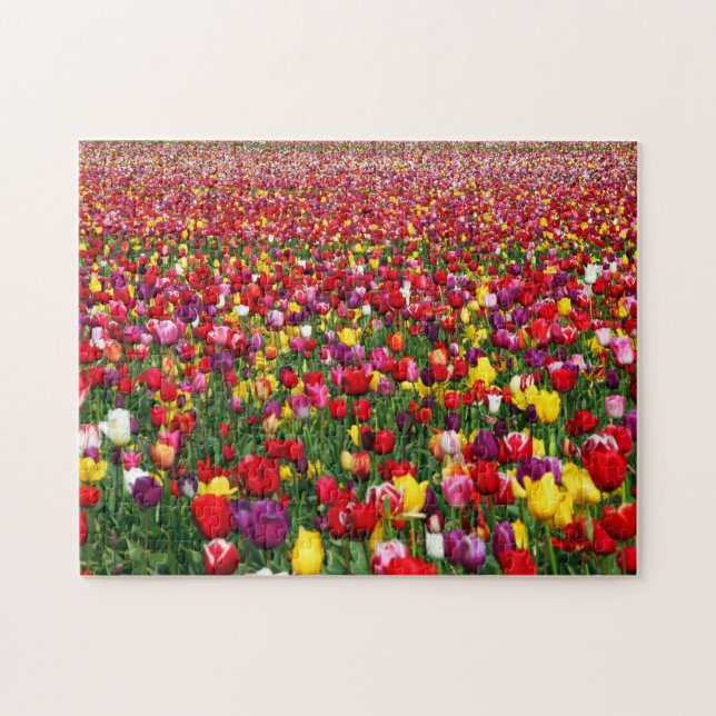 Puzzle Campo de tulipanes multicolores (Horizontal)