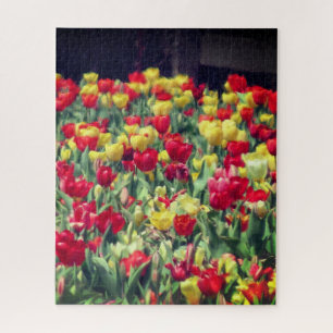 Puzzle Campo de tulipanes rojo y amarillo