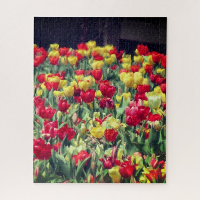 Puzzle Campo de tulipanes rojo y amarillo (Vertical)