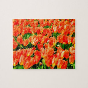 Puzzle campo naranja de tulipanes