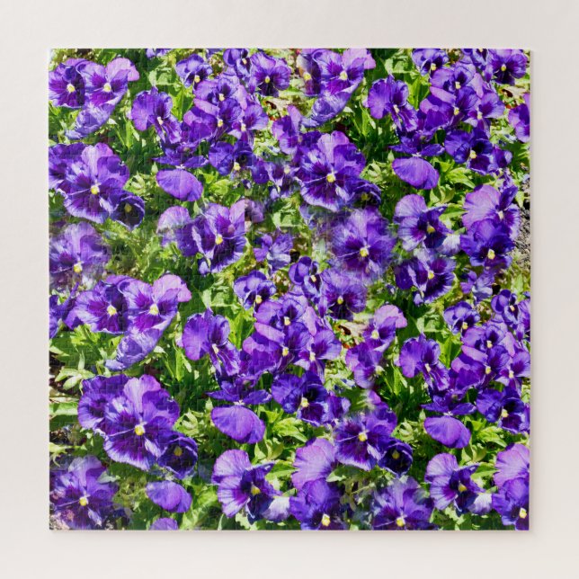 Puzzle Campo Púrpura Pansy, (Vertical)