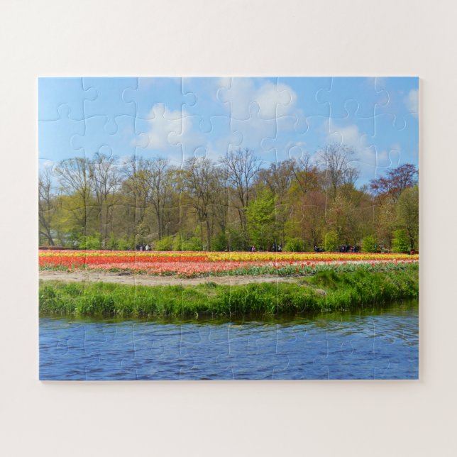 Puzzle Campo Tulip en Holanda (Horizontal)