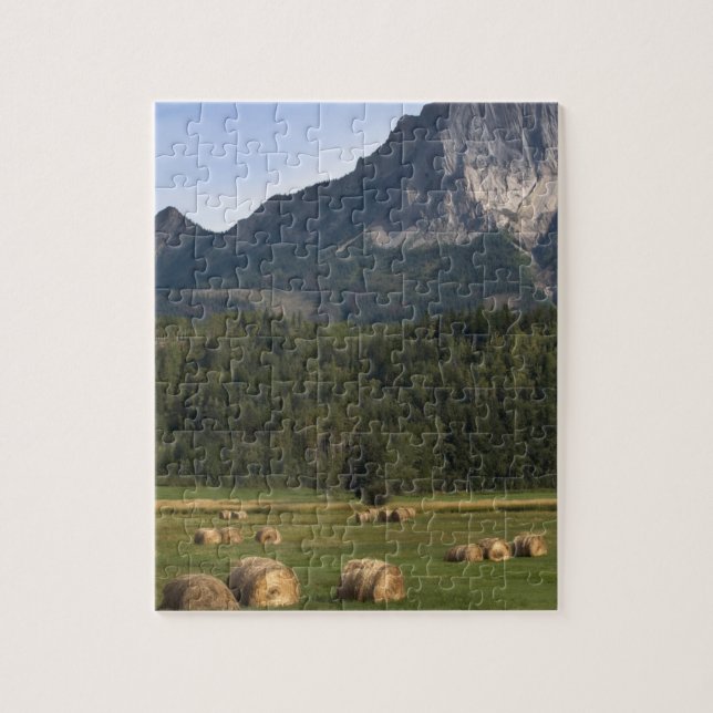 Puzzle Campos con heno embalado, Alberta, Canadá (Vertical)