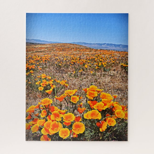 Puzzle Campos de amapola de California - Flores - 16x20 - (Vertical)