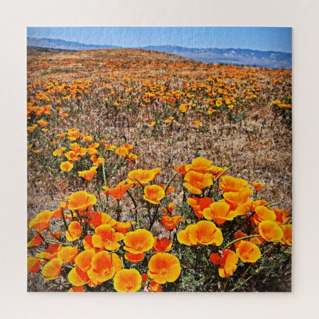Puzzle Campos de amapola de California - Flores - 20x20 - (Vertical)