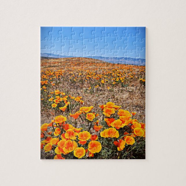 Puzzle Campos de amapola de California - Flores - 8x10 -  (Vertical)