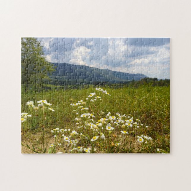 Puzzle Campos de Daisies Tennessee. (Horizontal)
