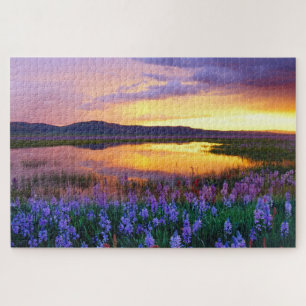 Puzzle Campos de lavanda