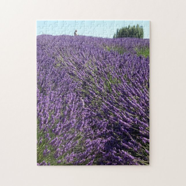 Puzzle Campos de secuela de lavanda, fotografía de WA (Vertical)