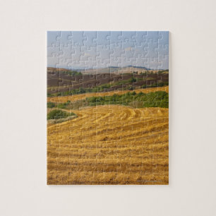 Puzzle Campos de trigo después de la cosecha