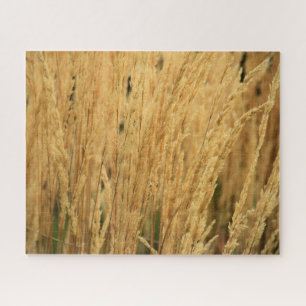 Puzzle Campos de Trigo Dorado - 16x20 - 520 pcs.