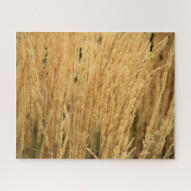 Puzzle Campos de Trigo Dorado - 16x20 - 520 pcs. (Horizontal)