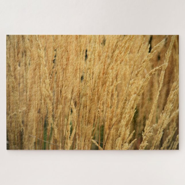 Puzzle Campos de Trigo Dorado - 20x30 - 1014 pcs. (Horizontal)
