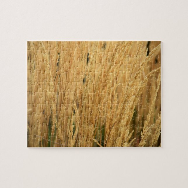 Puzzle Campos de Trigo Dorado - 8x10 - 110 pcs. (Horizontal)