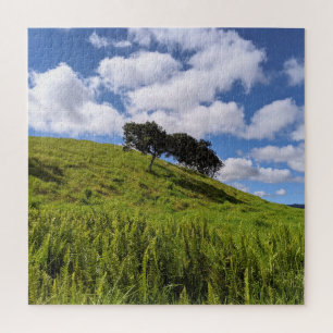 Puzzle Campos hawaianos soleados con foto de árbol