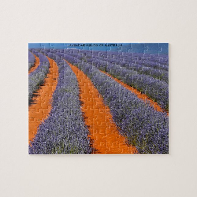 Puzzle Campos Lavendar de Australia (Horizontal)