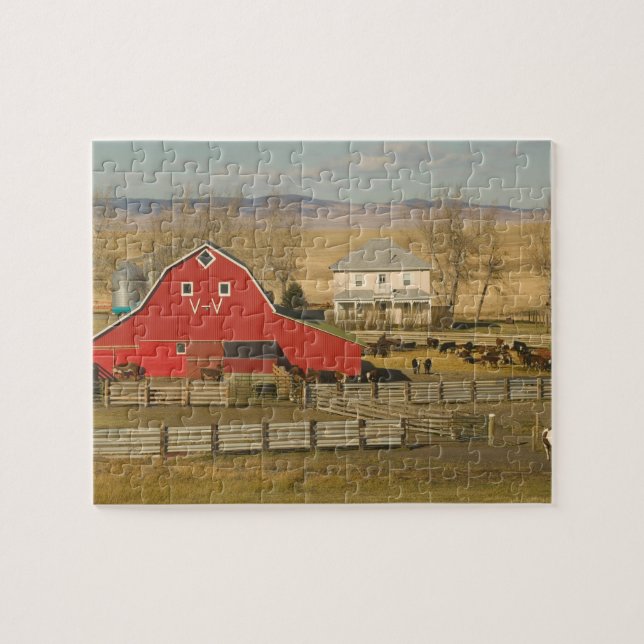 Puzzle Canadá, Alberta, Pincher Creek: Granero Rojo y Ran (Horizontal)