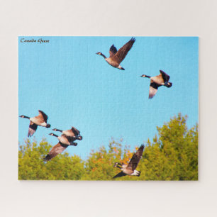 Puzzle Canada Goose