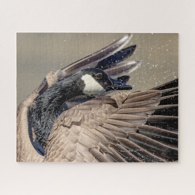 Puzzle Canada Goose (Horizontal)