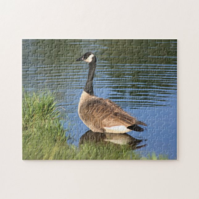 Puzzle Canadá Goose In Water Oil Pinting  (Horizontal)