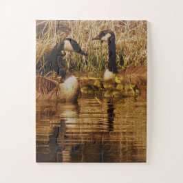 Puzzle Canadá Gose Family Cute Babies Goslings Geese