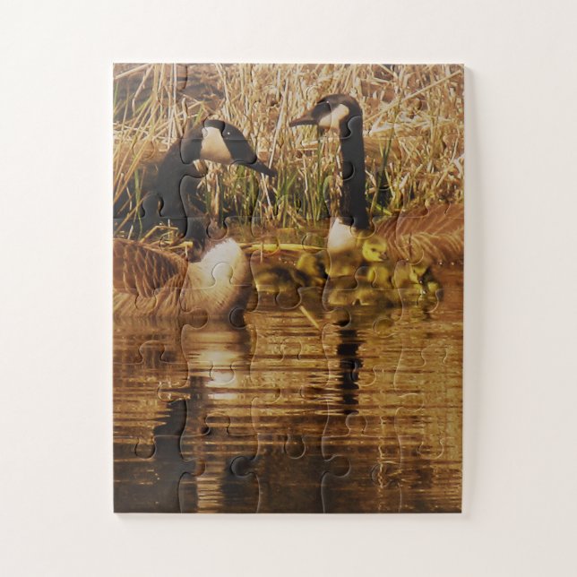 Puzzle Canadá Gose Family Cute Babies Goslings Geese (Vertical)